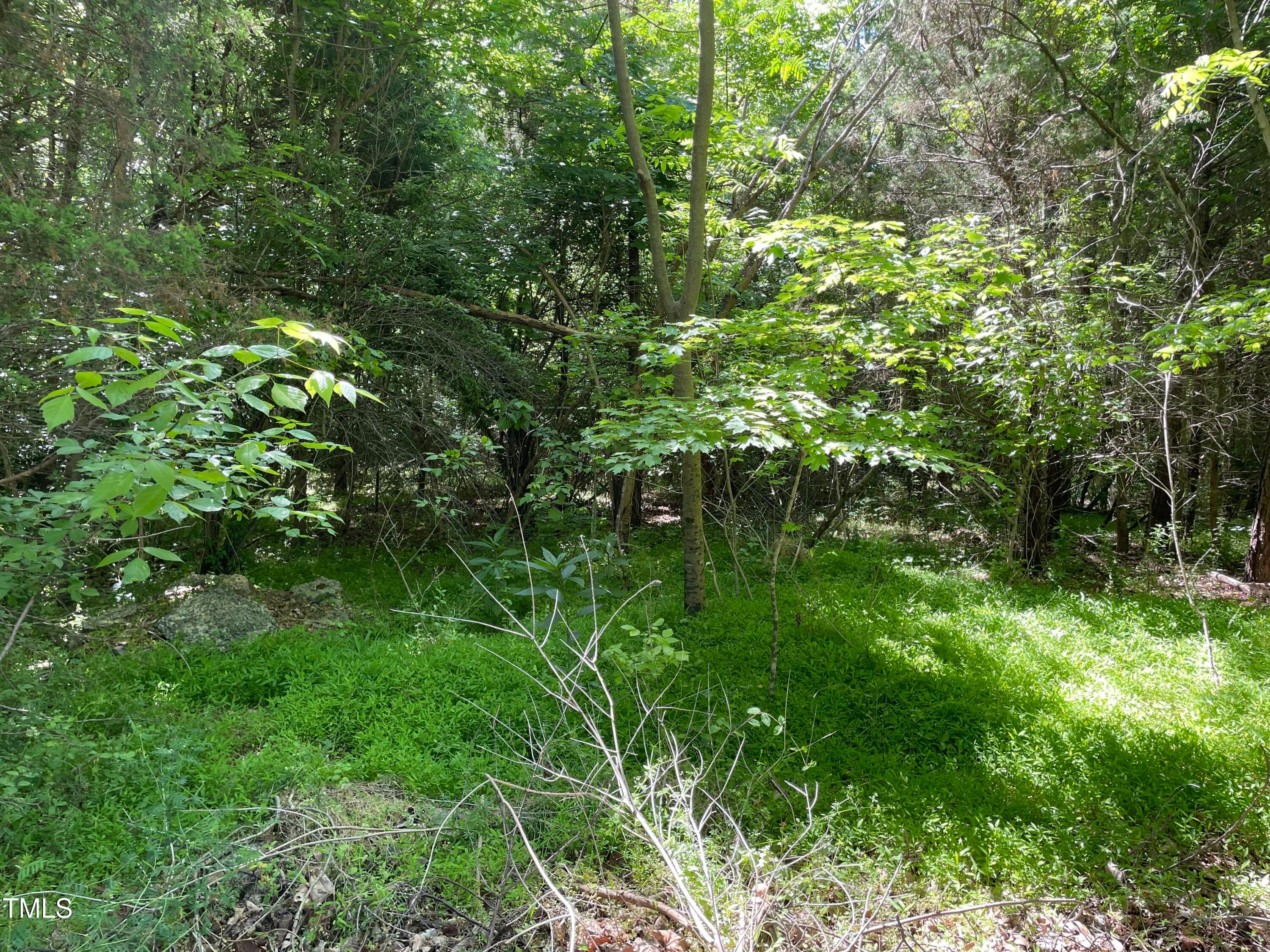 IMG_2003 - 39 Thompson Road, Graham, NC 27253