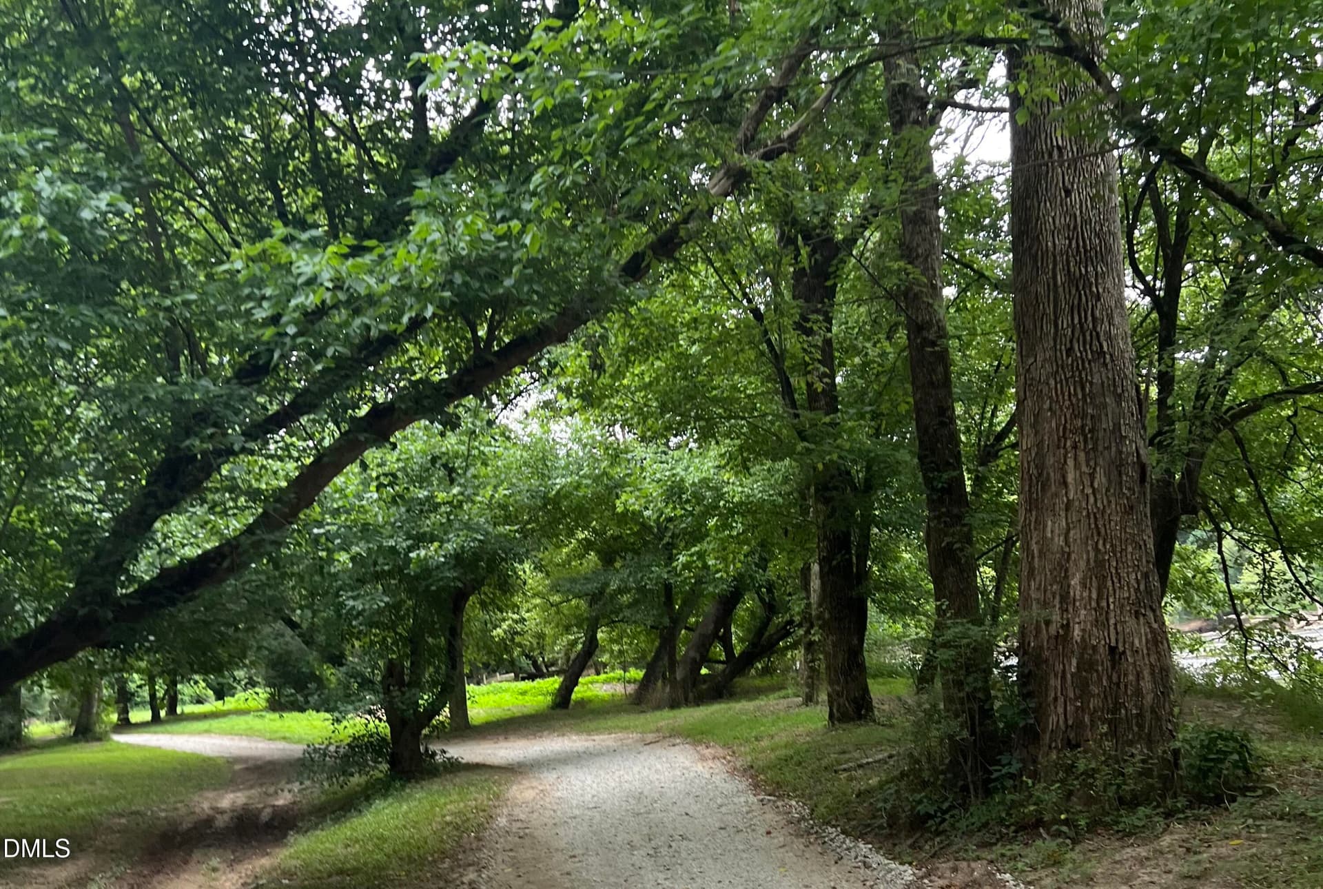 trails 3 - 370 Bellini Drive, Clayton, NC 27527