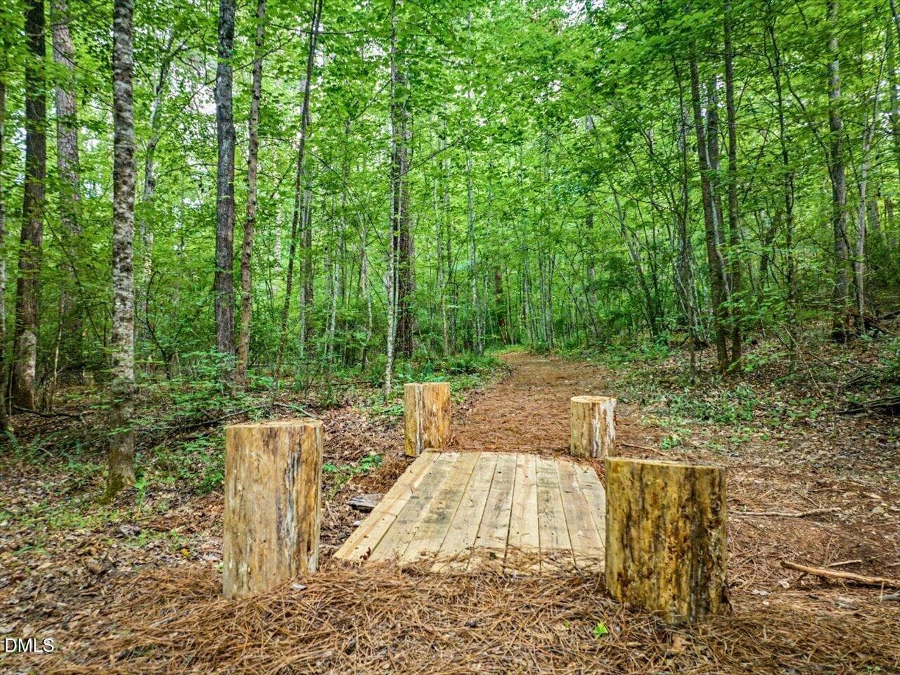 Bridge - 275 Mill Stone Road Ext., Moncure, NC 27559