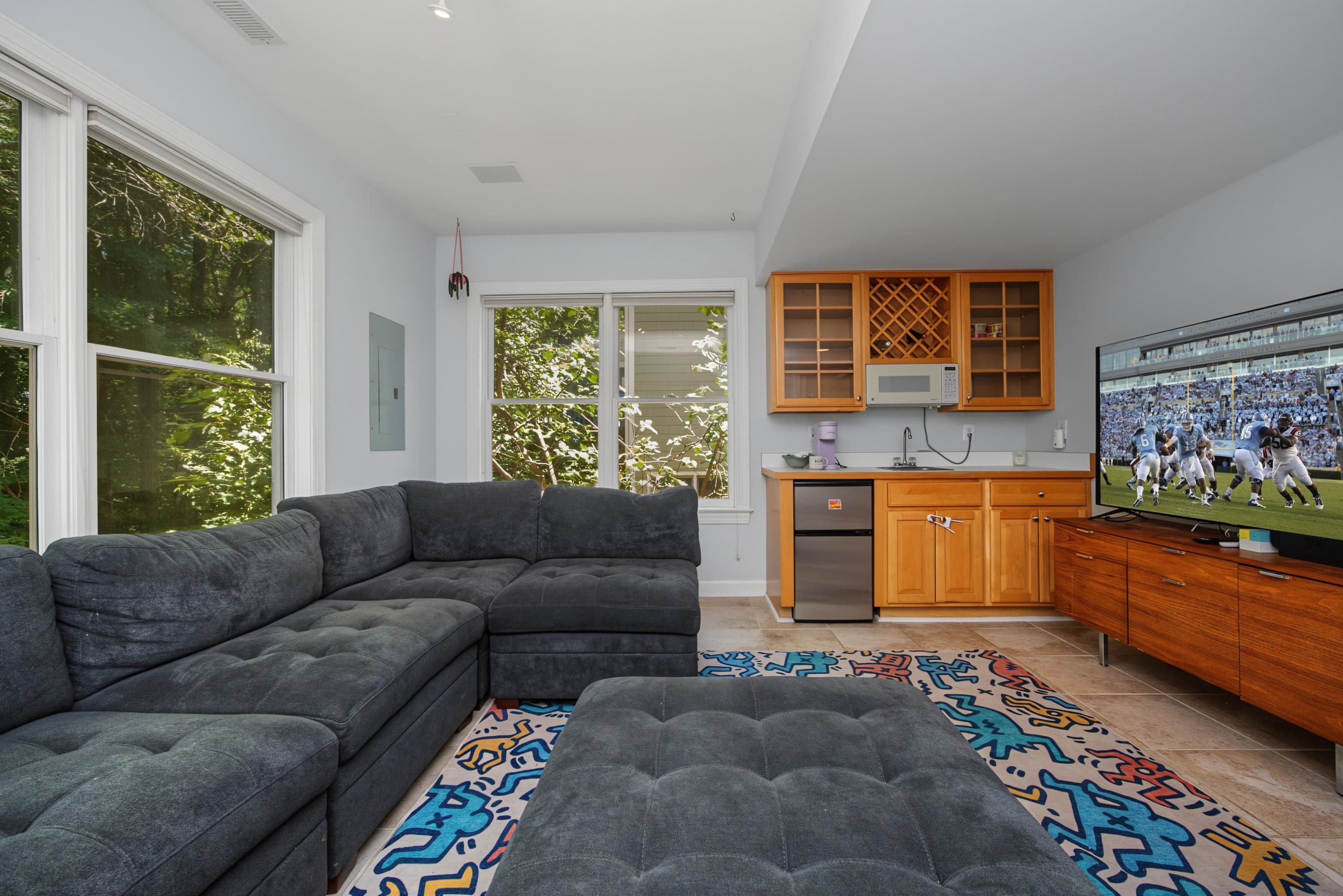 28Lower.jpg - 208 W Columbia Place W, Chapel Hill, NC 27516, Chapel Hill