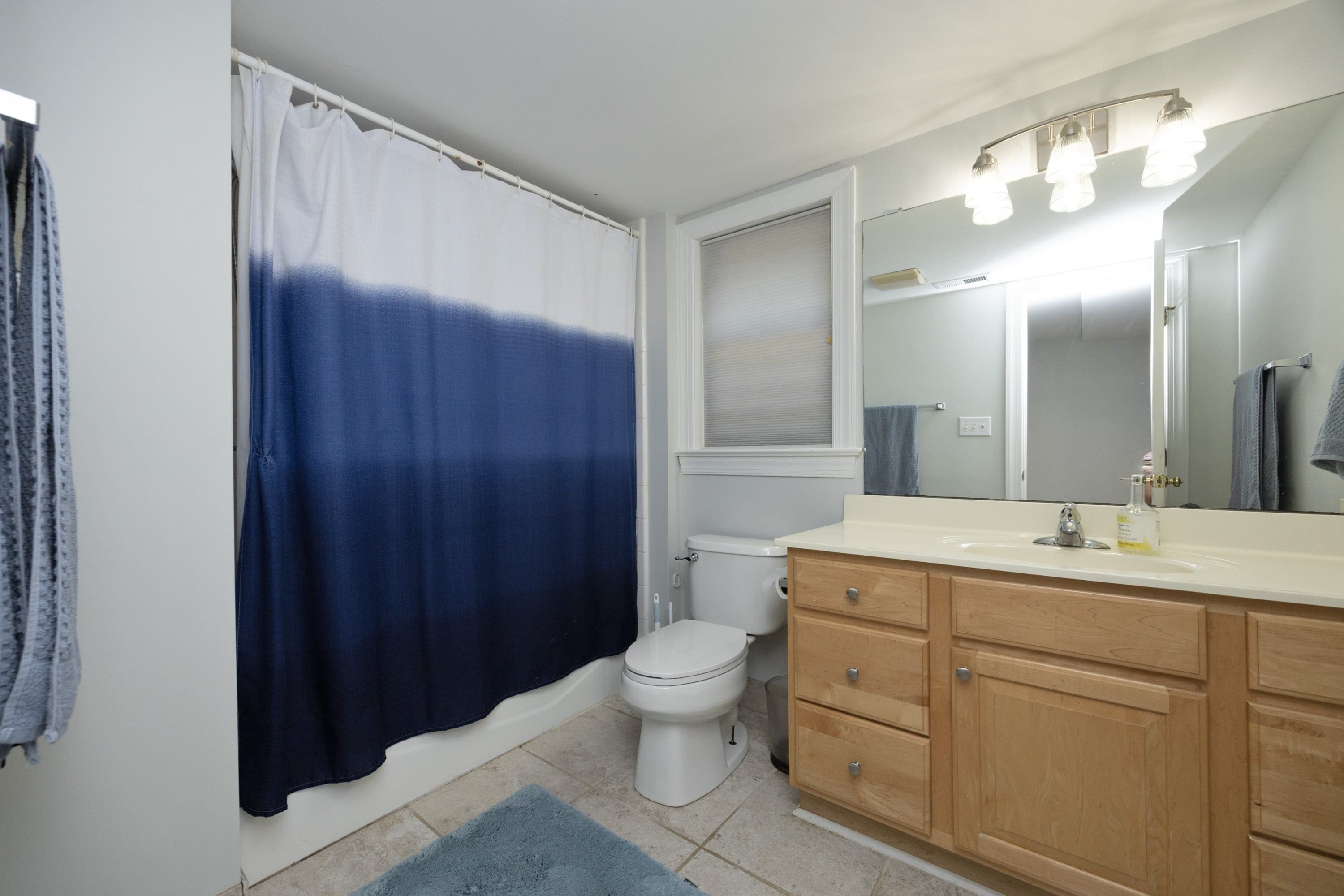 30LowerBath.jpg - 208 W Columbia Place W, Chapel Hill, NC 27516, Chapel Hill