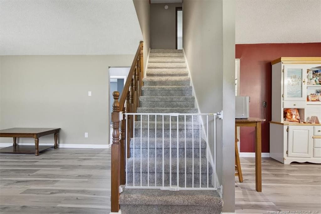 Photo 9 - 3055 Cedar Hill Road, Robbins, NC 27325