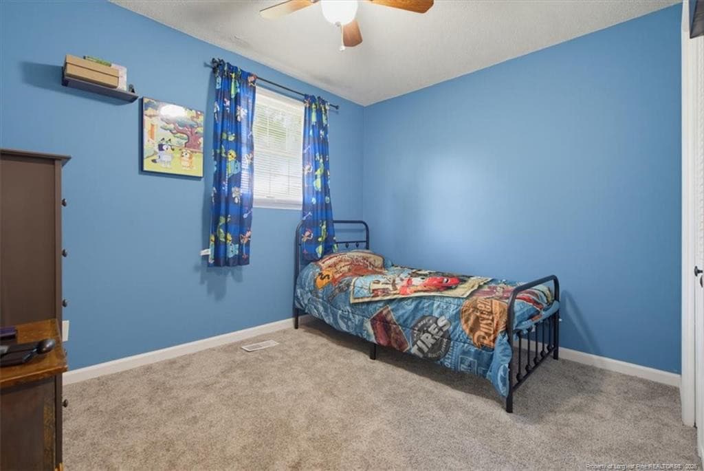 Photo 27 - 3055 Cedar Hill Road, Robbins, NC 27325