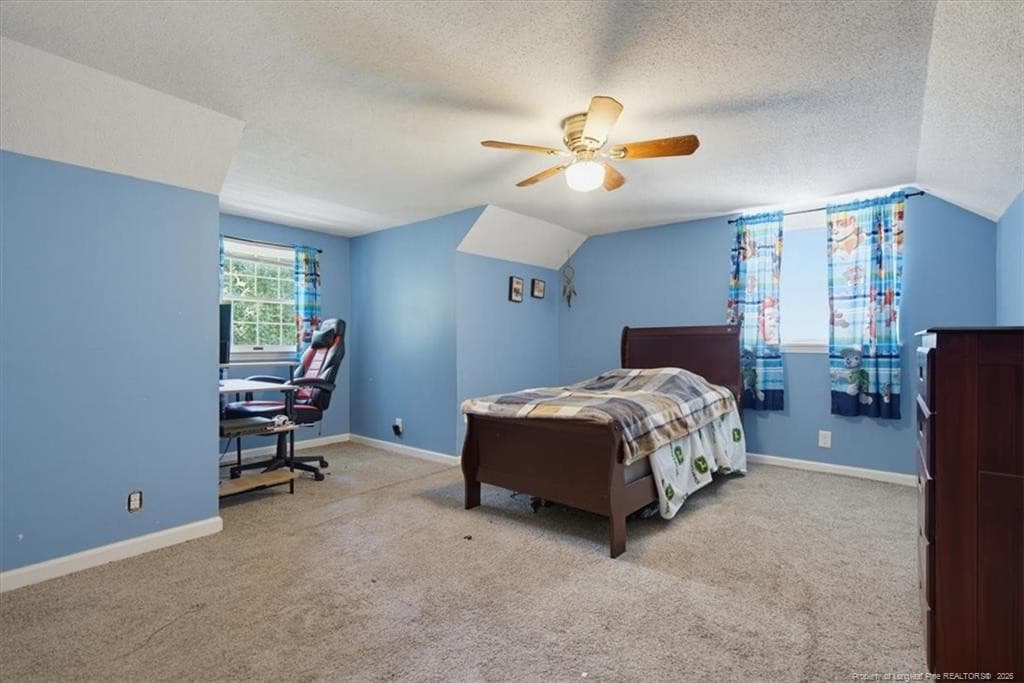 Photo 28 - 3055 Cedar Hill Road, Robbins, NC 27325