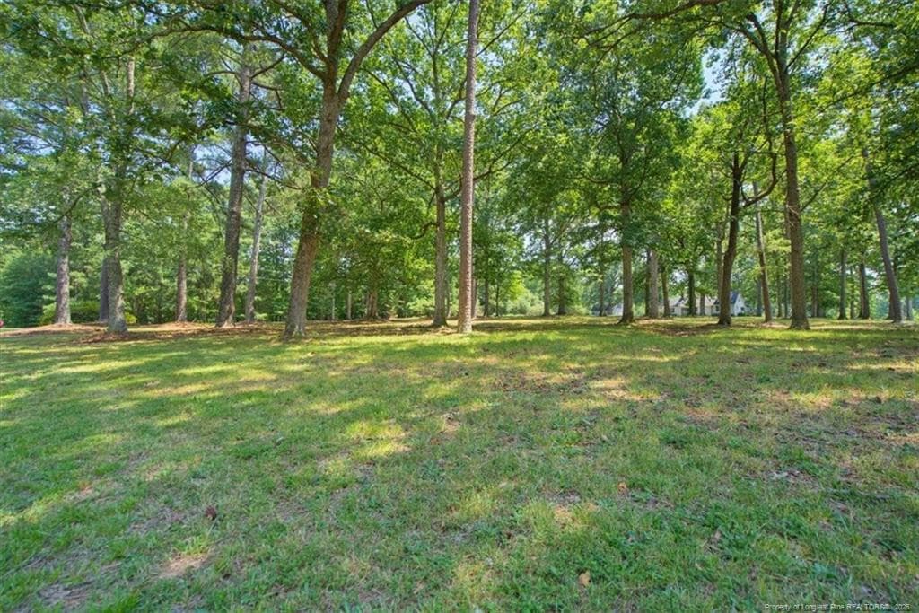 Photo 43 - 3055 Cedar Hill Road, Robbins, NC 27325