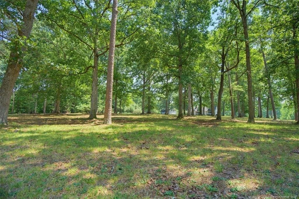 Photo 48 - 3055 Cedar Hill Road, Robbins, NC 27325