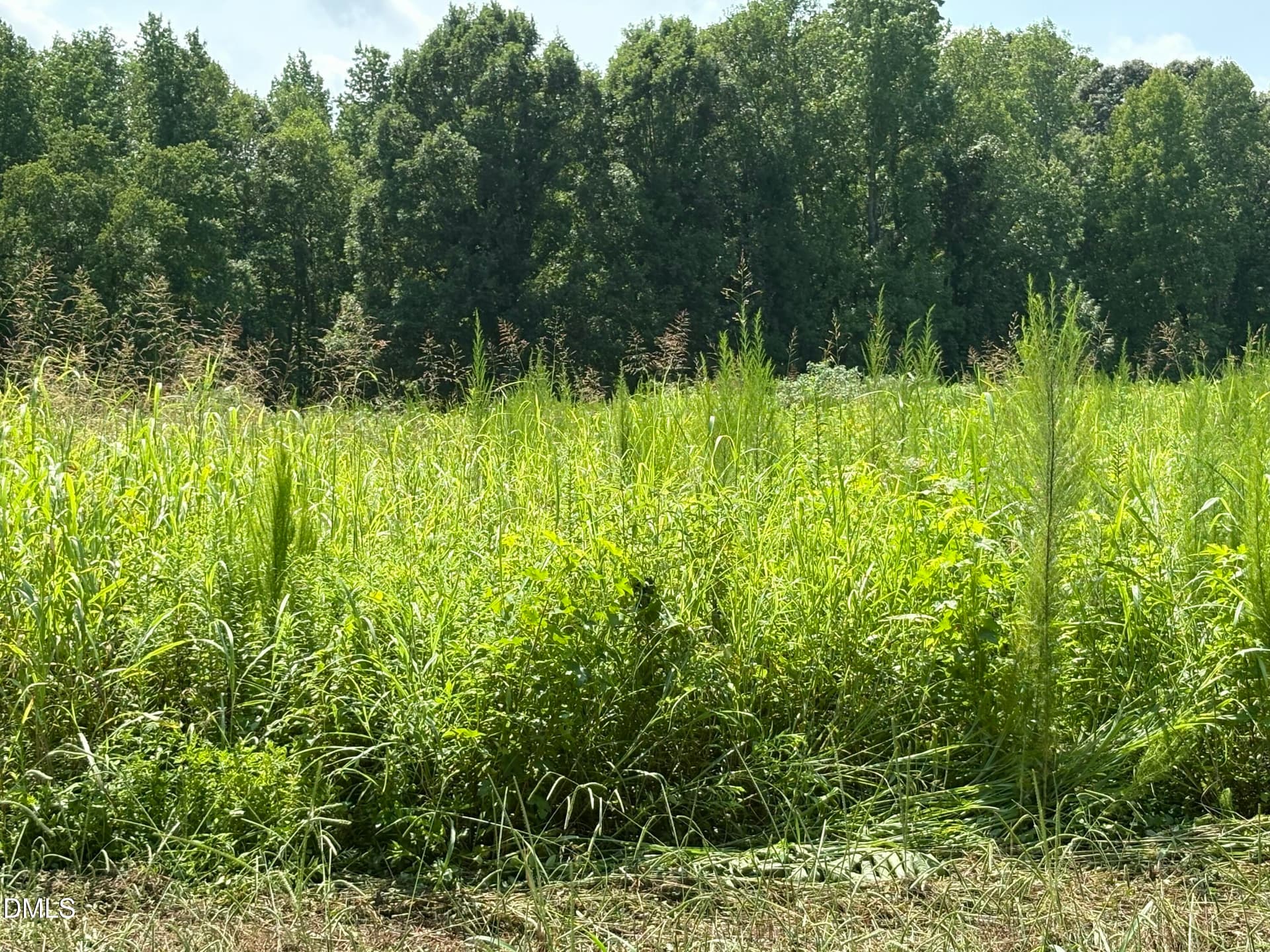 IMG_0210 - Lot 5 Oak Grove Church Road, Mebane, NC 27302