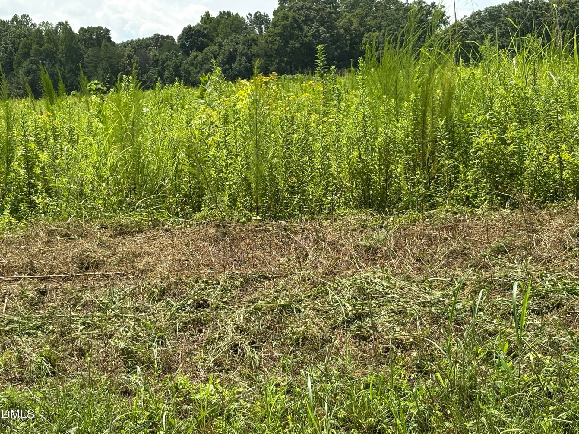 IMG_0208 - Lot 5 Oak Grove Church Road, Mebane, NC 27302