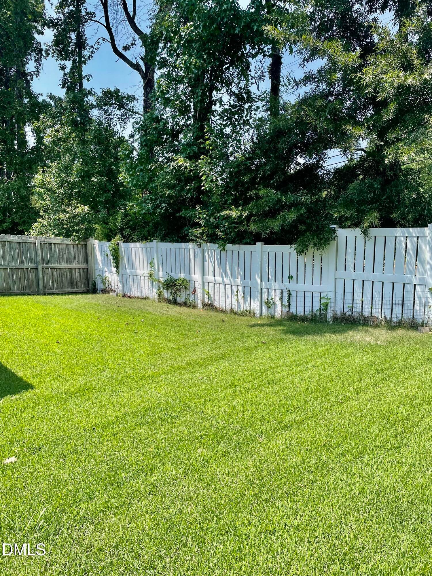 Side yard leading to back yard - 5428 Roan Mountain Place, Raleigh, NC 27613, Raleigh