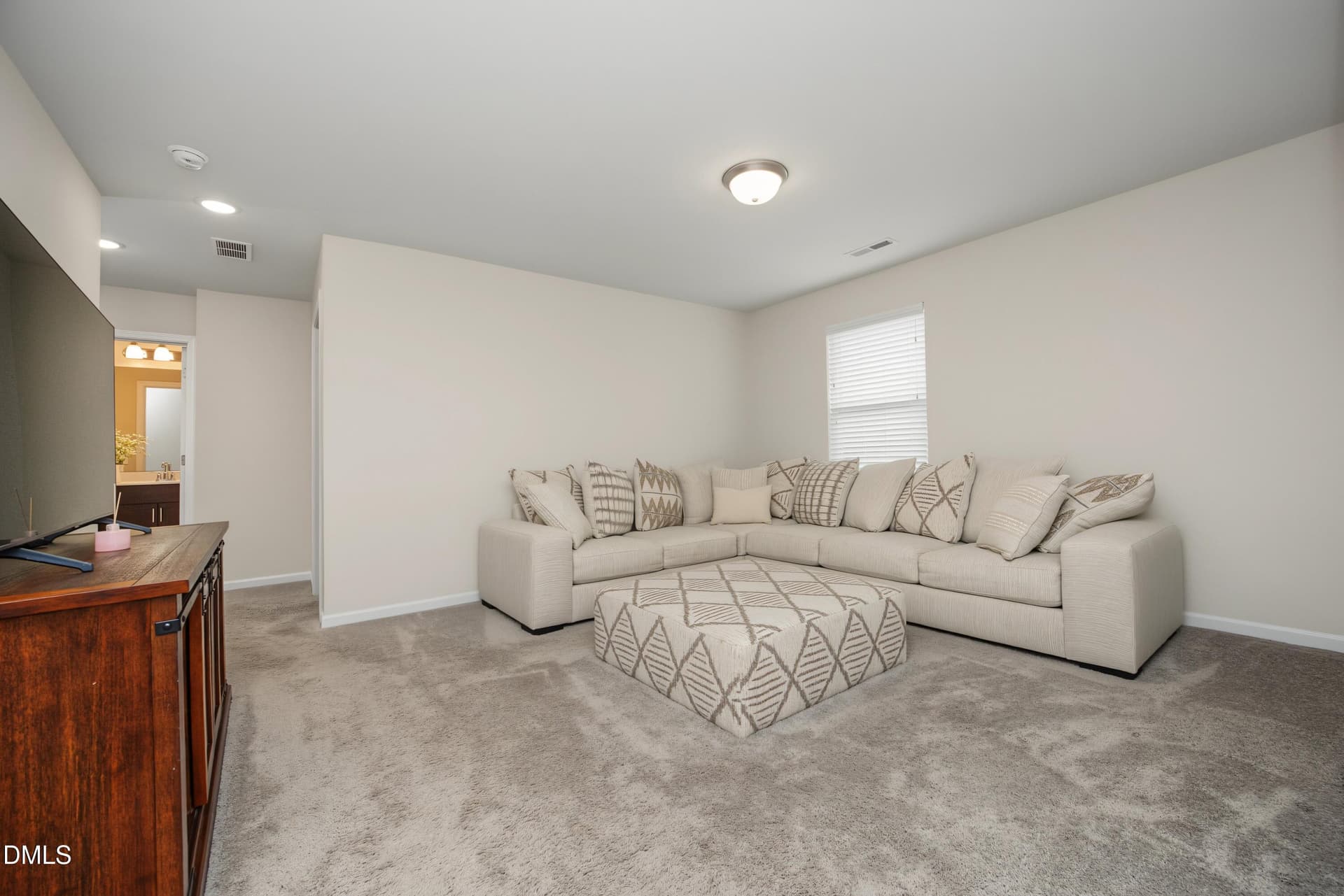 29MediaRoom - 7103 Stratified Court, Mebane, NC 27302