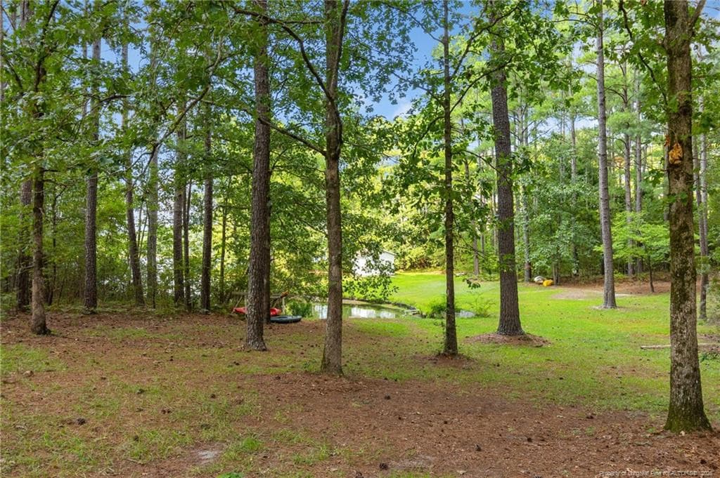 Photo 46 - 16401 Lakeshore Drive, Wagram, NC 28396