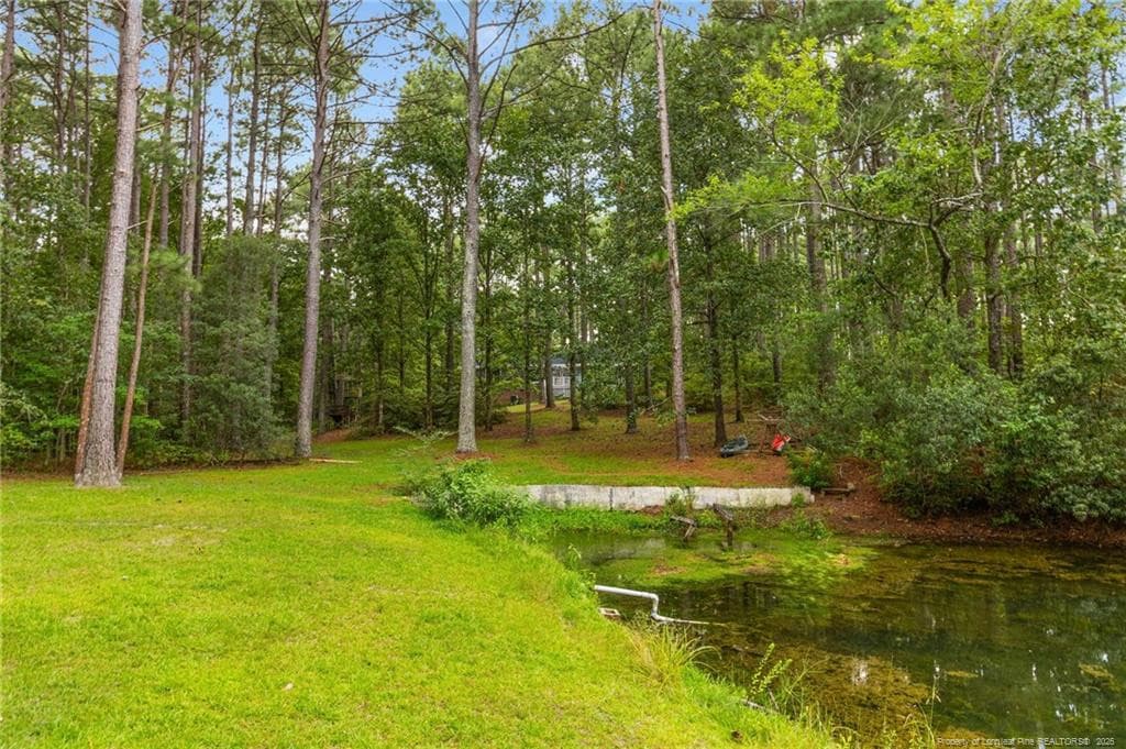 Photo 50 - 16401 Lakeshore Drive, Wagram, NC 28396