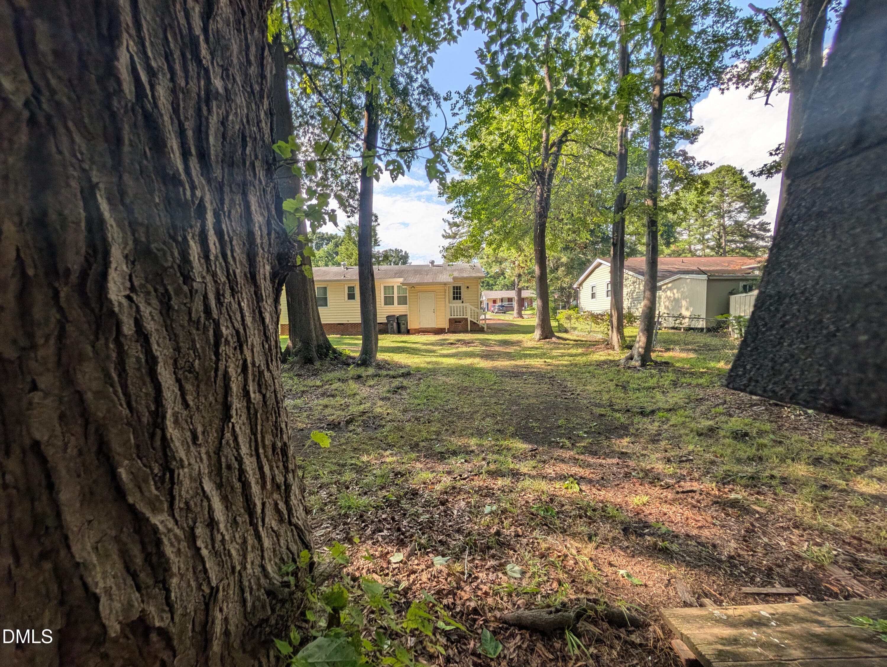 Yard - 118 E Mciver Street, Zebulon, NC 27597