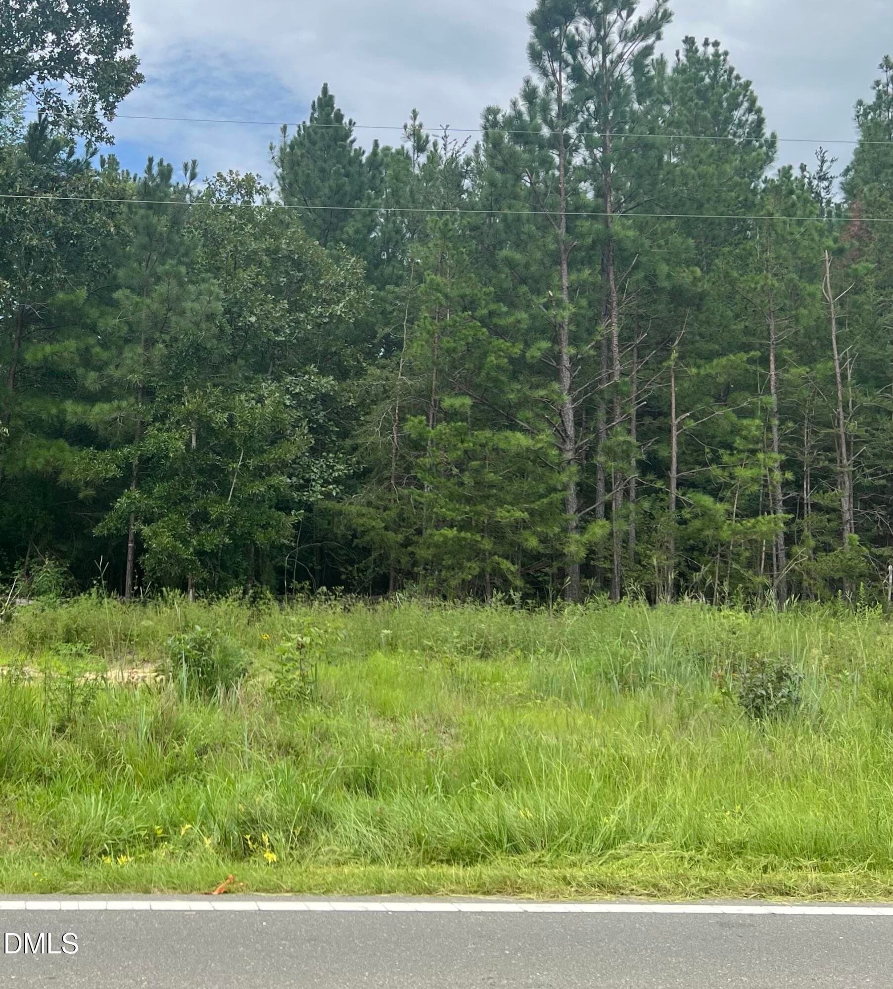 IMG_1038 - 00 Highway 49, Mebane, NC 27302