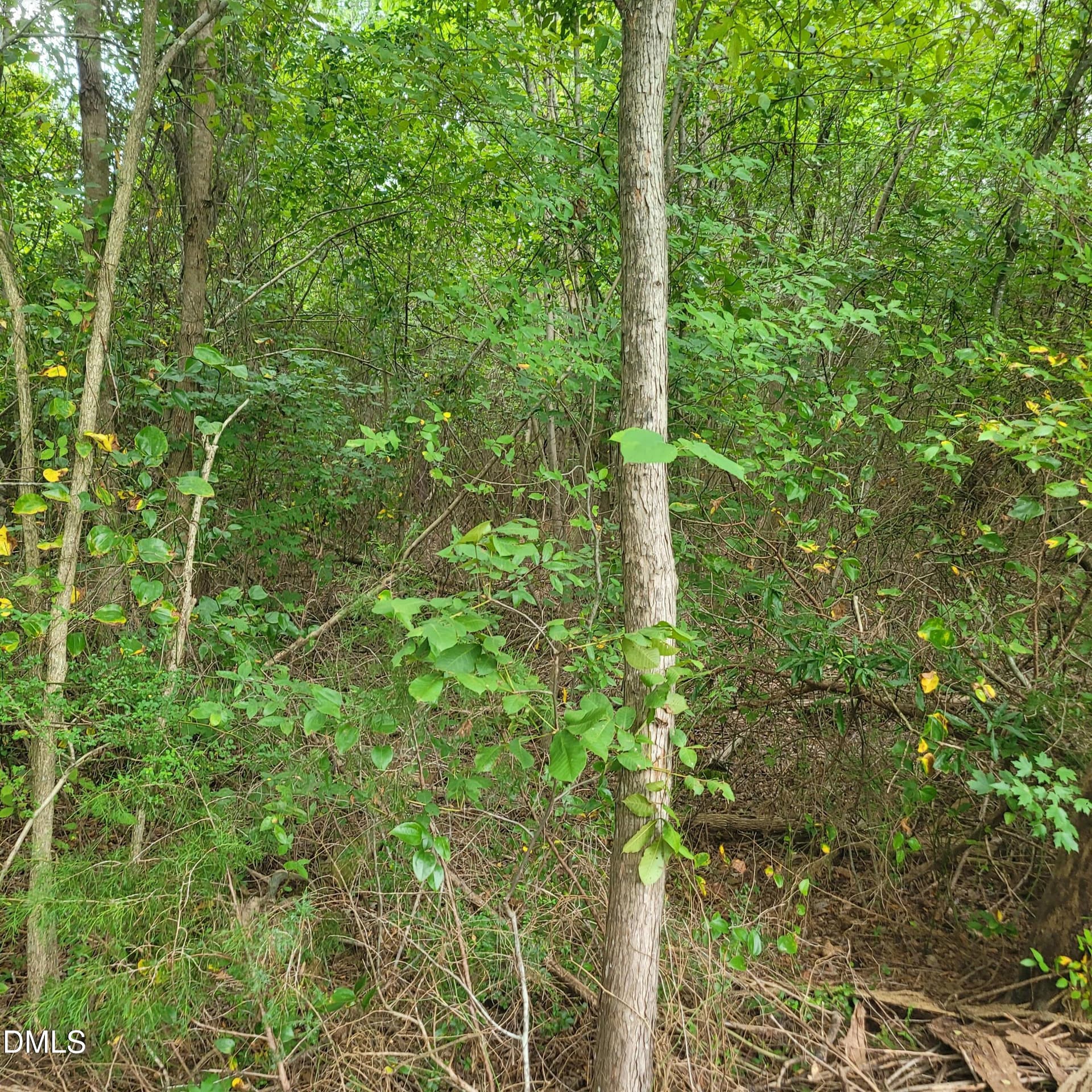 20260813_142830 - 00 Highway 49, Mebane, NC 27302