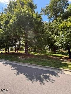 IMG_5908 - 1117 Bungalow Park Drive, Apex, NC 27502