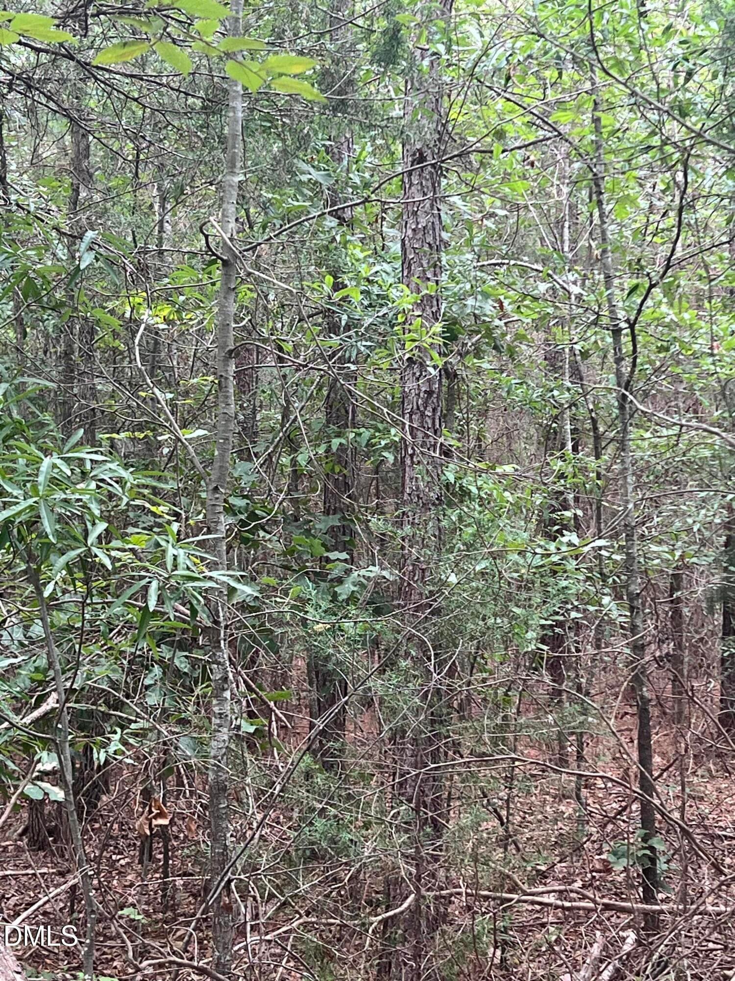 IMG_1026 - 00 Highway 49, Mebane, NC 27302