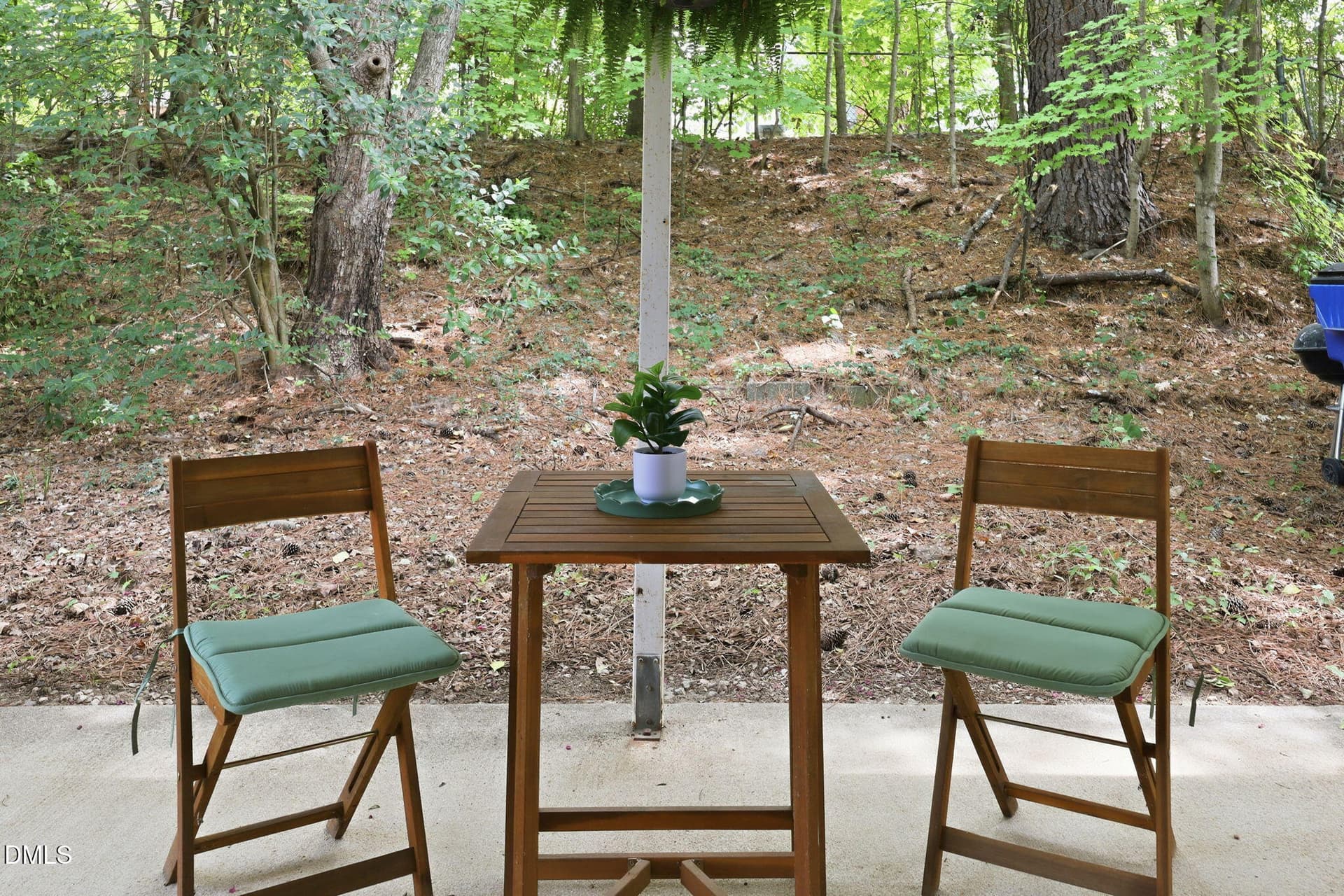 Covered Patio - 2107 Dandridge Drive, Raleigh, NC 27610