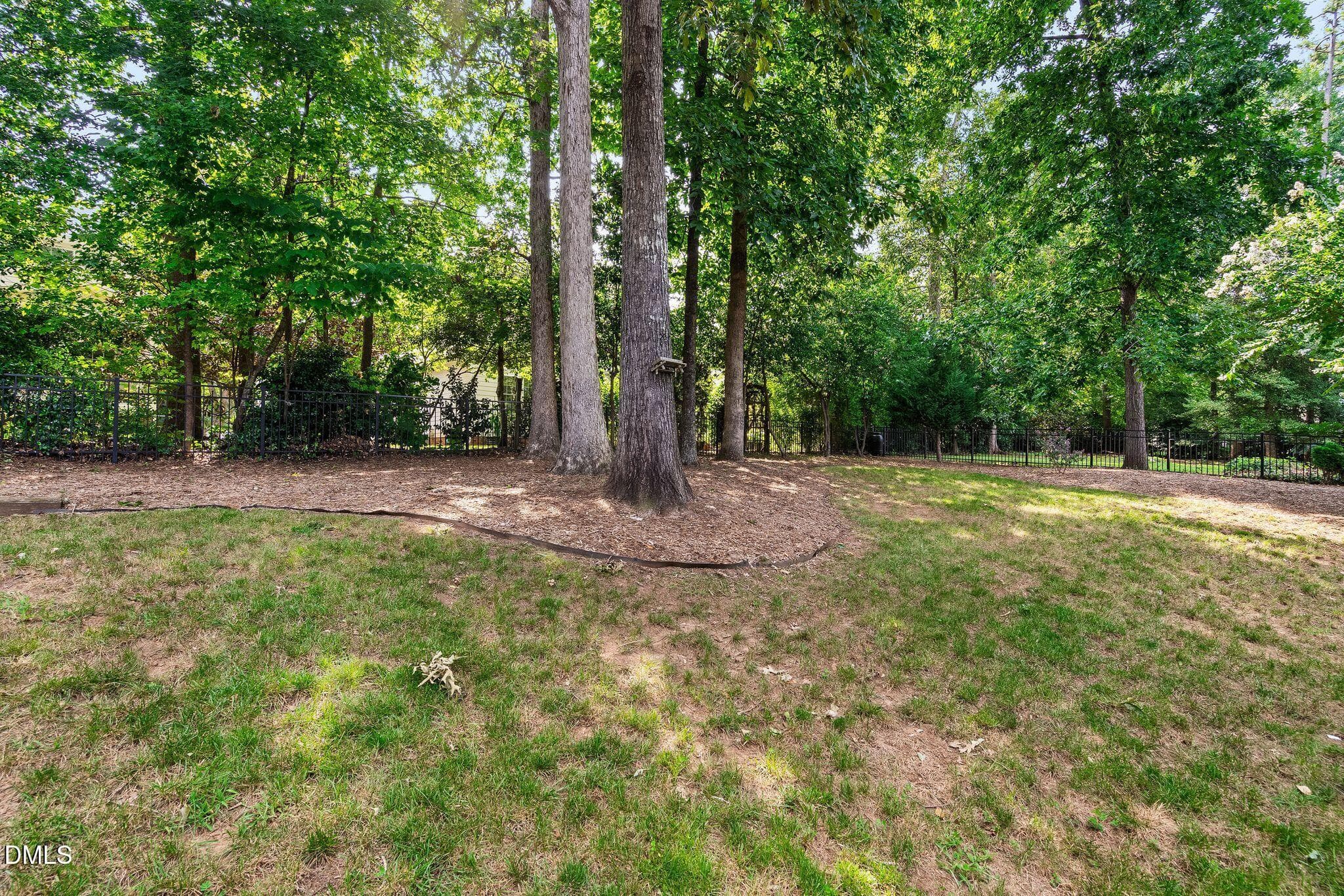 46_NJO06937 - 12446 Pawleys Mill Circle, Raleigh, NC 27614, Raleigh