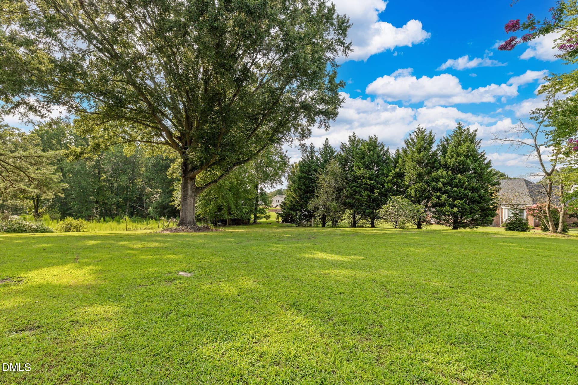 46-web-or-mls-970-US-158-46 - 970 Us-158 Bypass, Henderson, NC 27537