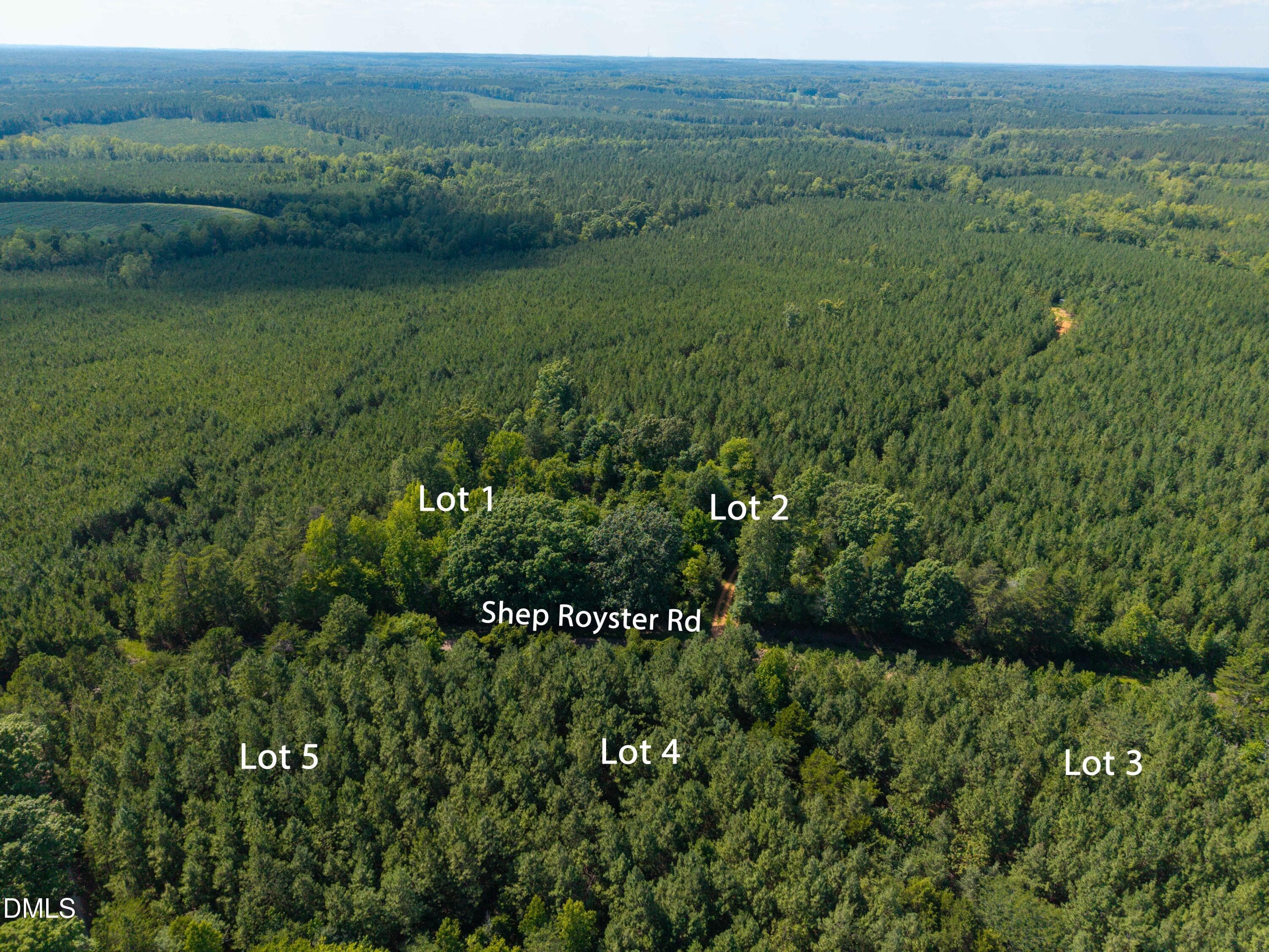 Longview Pines (1 of 1)-3 - 7113 Shep Royster Road, Oxford, NC 27565