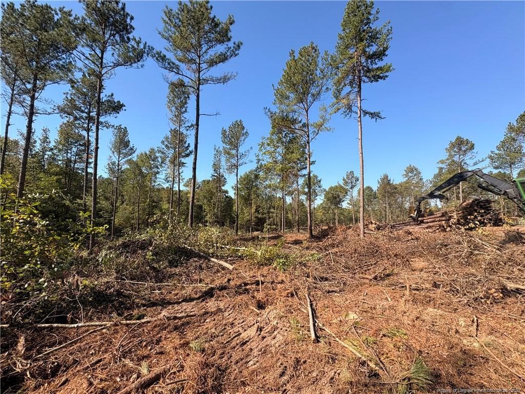 Lot 2 S Plank Road, Sanford, NC 27330