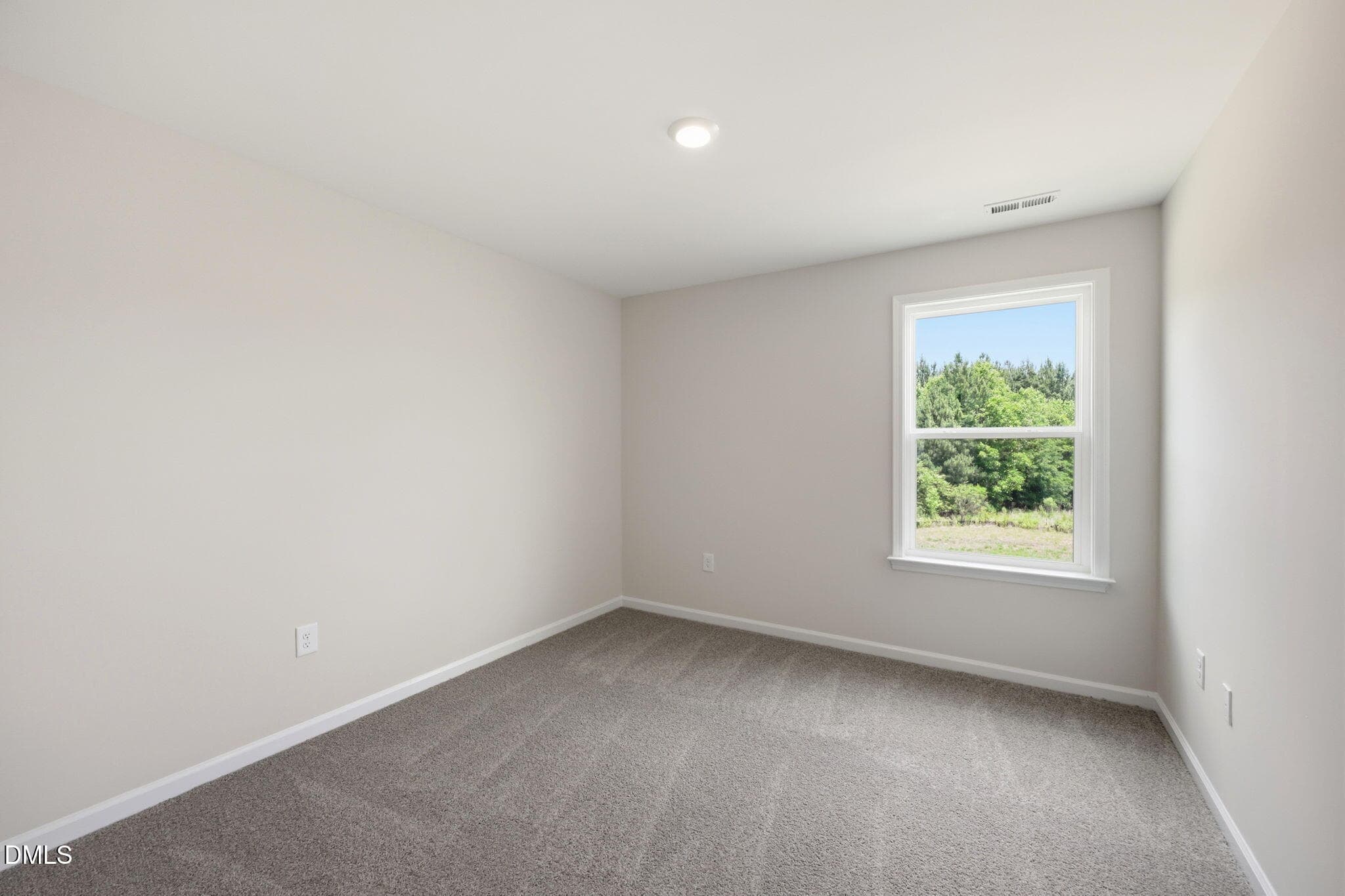 43-web-or-mls-IMG_1902 - 36 Peach Grv Way, Lillington, NC 27546