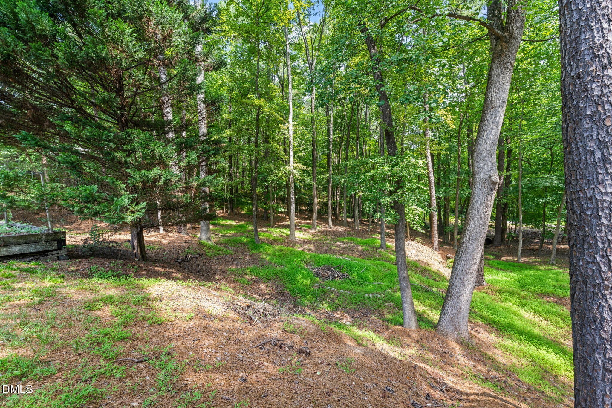 Yard - 1401 Old Trinity Circle, Raleigh, NC 27607, Raleigh