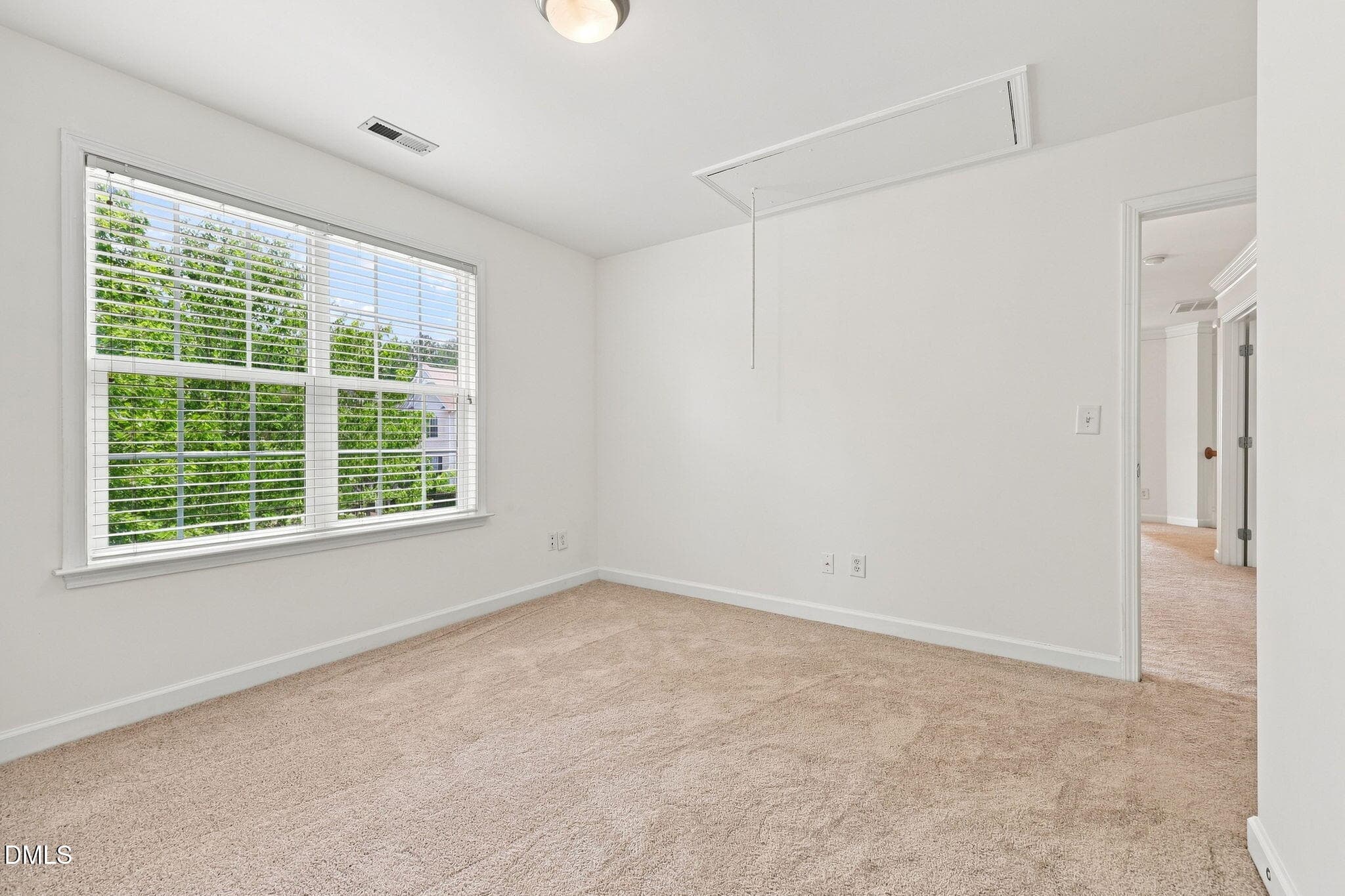 Listing Photo 28 - 5718 Catskill Court, Durham, NC 27713, Durham