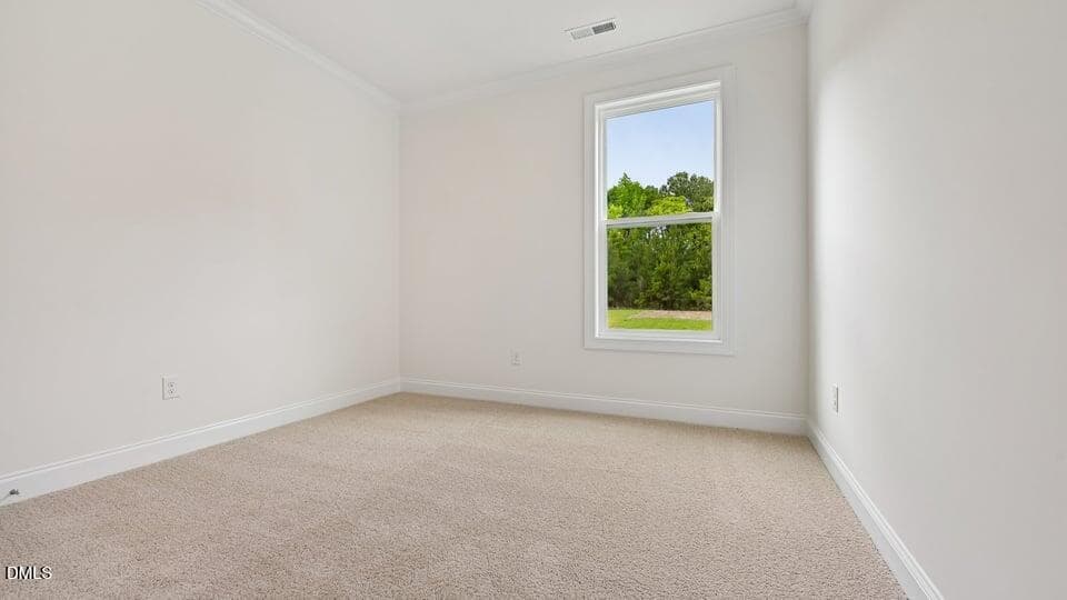 22-custom-Fls Blf Dr Lot 258-S2406-022 - 413 Falls Bluff Drive, Wake Forest, NC 27587