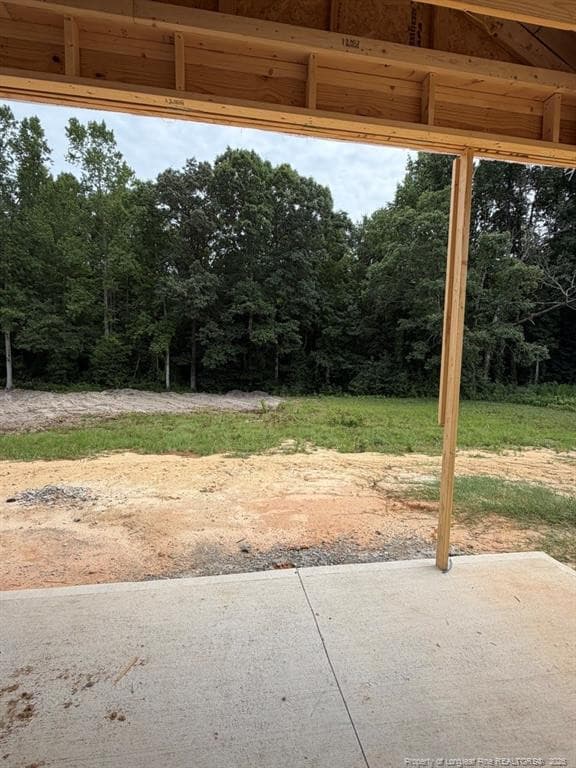 Photo 13 - 292 Black Duck (Lot 87) Lane, Lillington, NC 27546