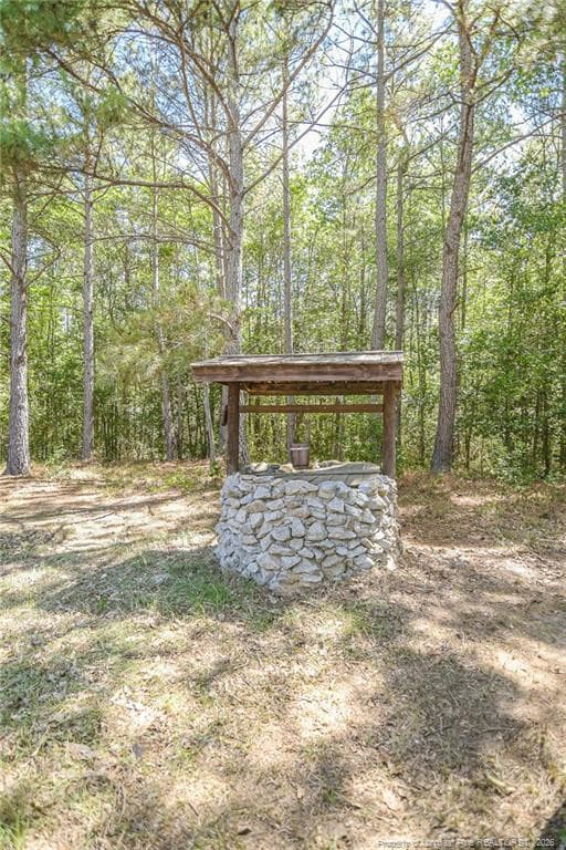 Photo 11 - 21181 Traders Road, Laurel Hill, NC 28351