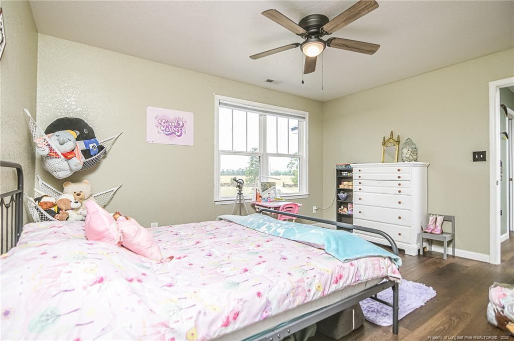 Photo 27 - 21181 Traders Road, Laurel Hill, NC 28351