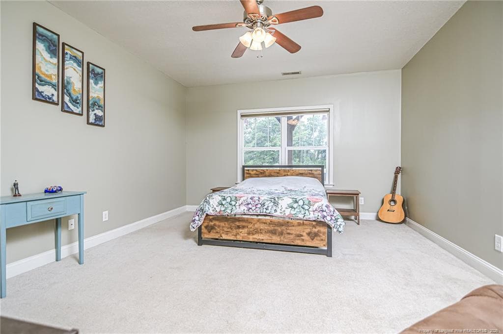 Photo 38 - 21181 Traders Road, Laurel Hill, NC 28351