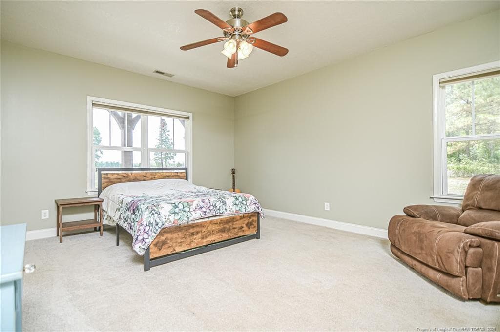 Photo 37 - 21181 Traders Road, Laurel Hill, NC 28351
