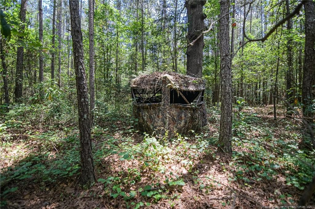 Photo 43 - 21181 Traders Road, Laurel Hill, NC 28351