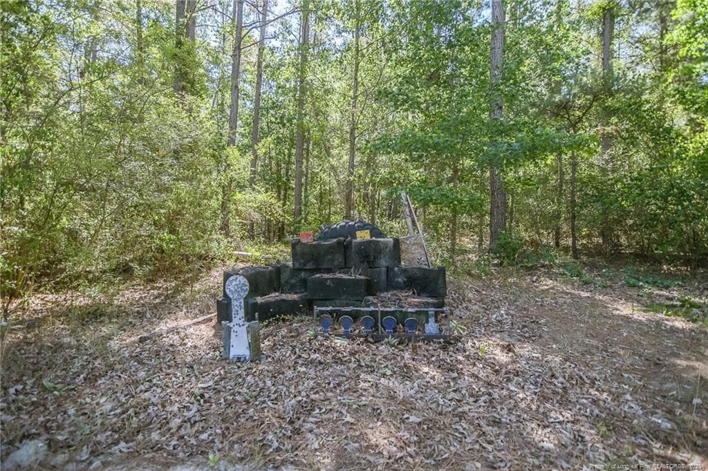 Photo 44 - 21181 Traders Road, Laurel Hill, NC 28351