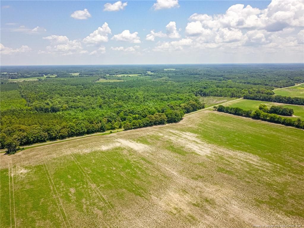 Photo 48 - 21181 Traders Road, Laurel Hill, NC 28351