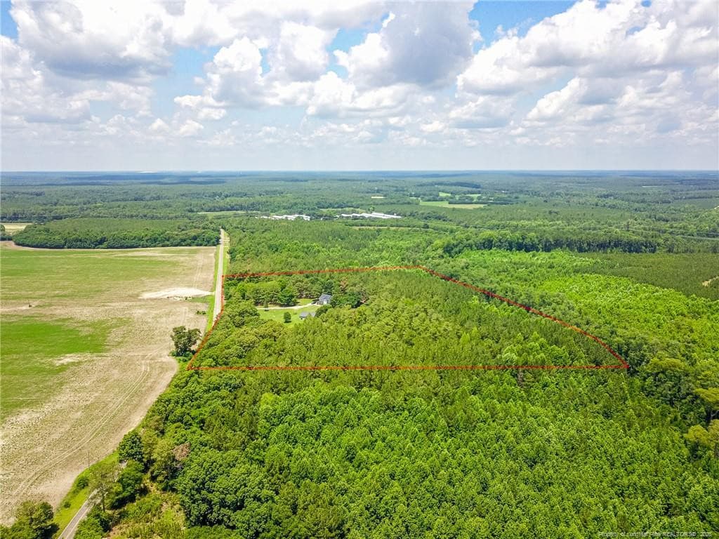 Photo 49 - 21181 Traders Road, Laurel Hill, NC 28351