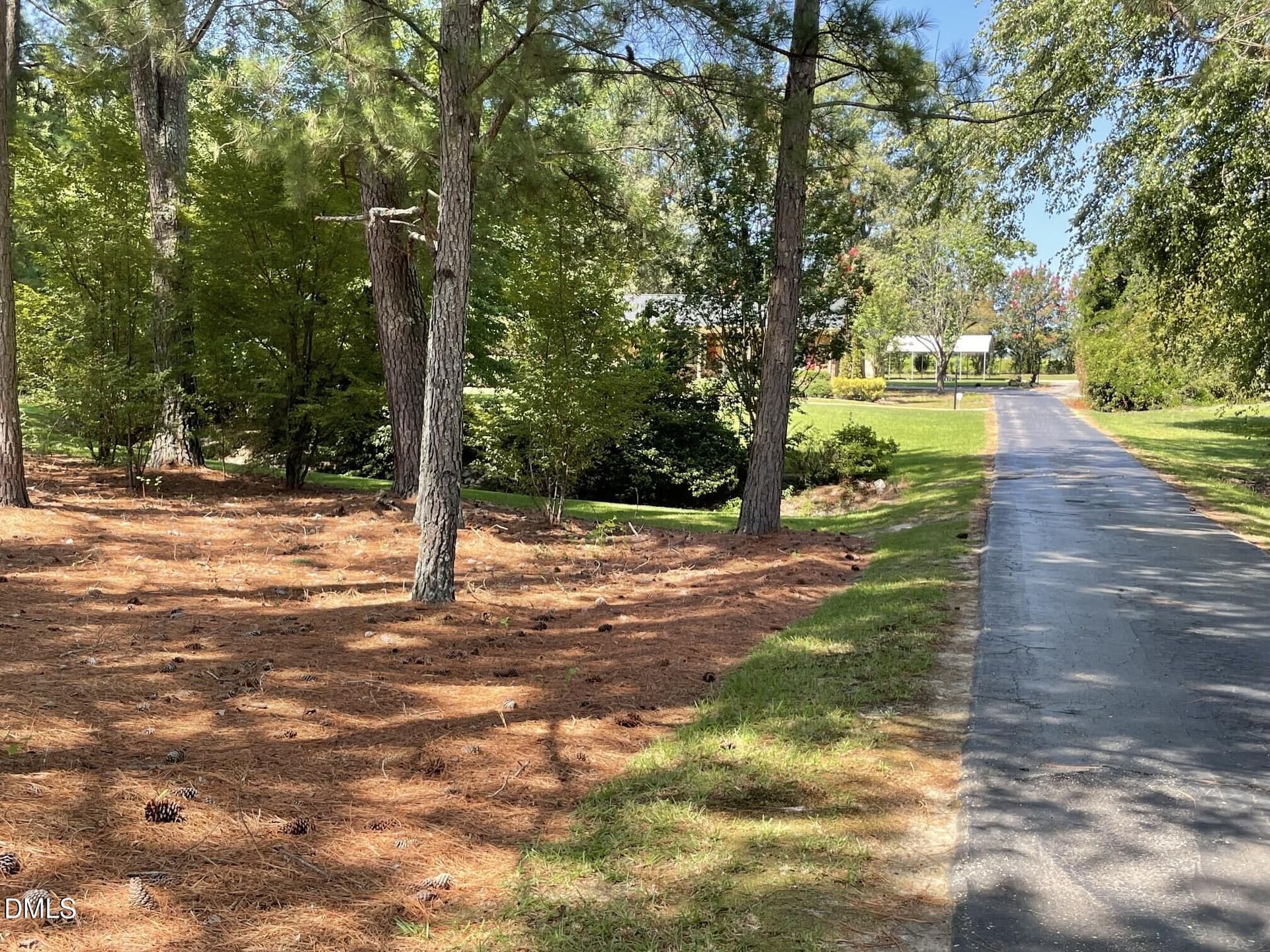 IMG_3059 - 456 S Raleigh Street, Angier, NC 27501