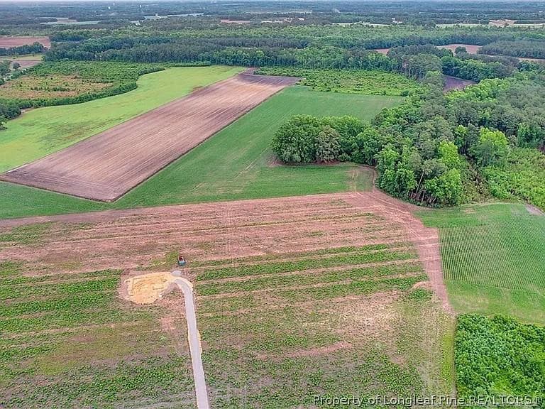 Photo 5 - Lot 9 Buie Philadelphus Road, Red Springs, NC 28377