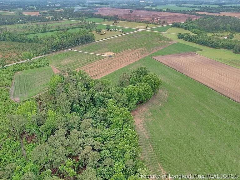 Photo 6 - Lot 9 Buie Philadelphus Road, Red Springs, NC 28377