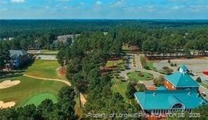 Photo 45 - 45 Shining Water Lane, Spring Lake, NC 28390