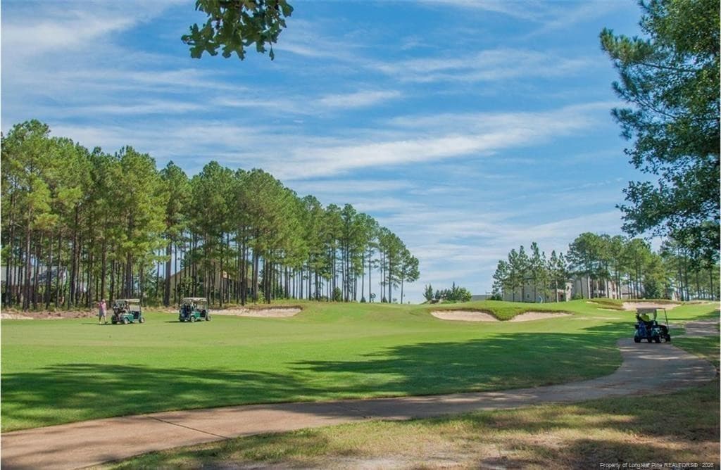 Photo 47 - 45 Shining Water Lane, Spring Lake, NC 28390