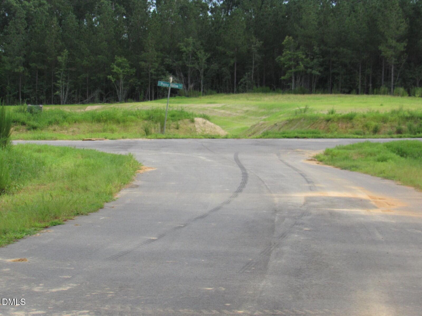 Roads - 4456 Poppy Mallow Lane, Oxford, NC 27565