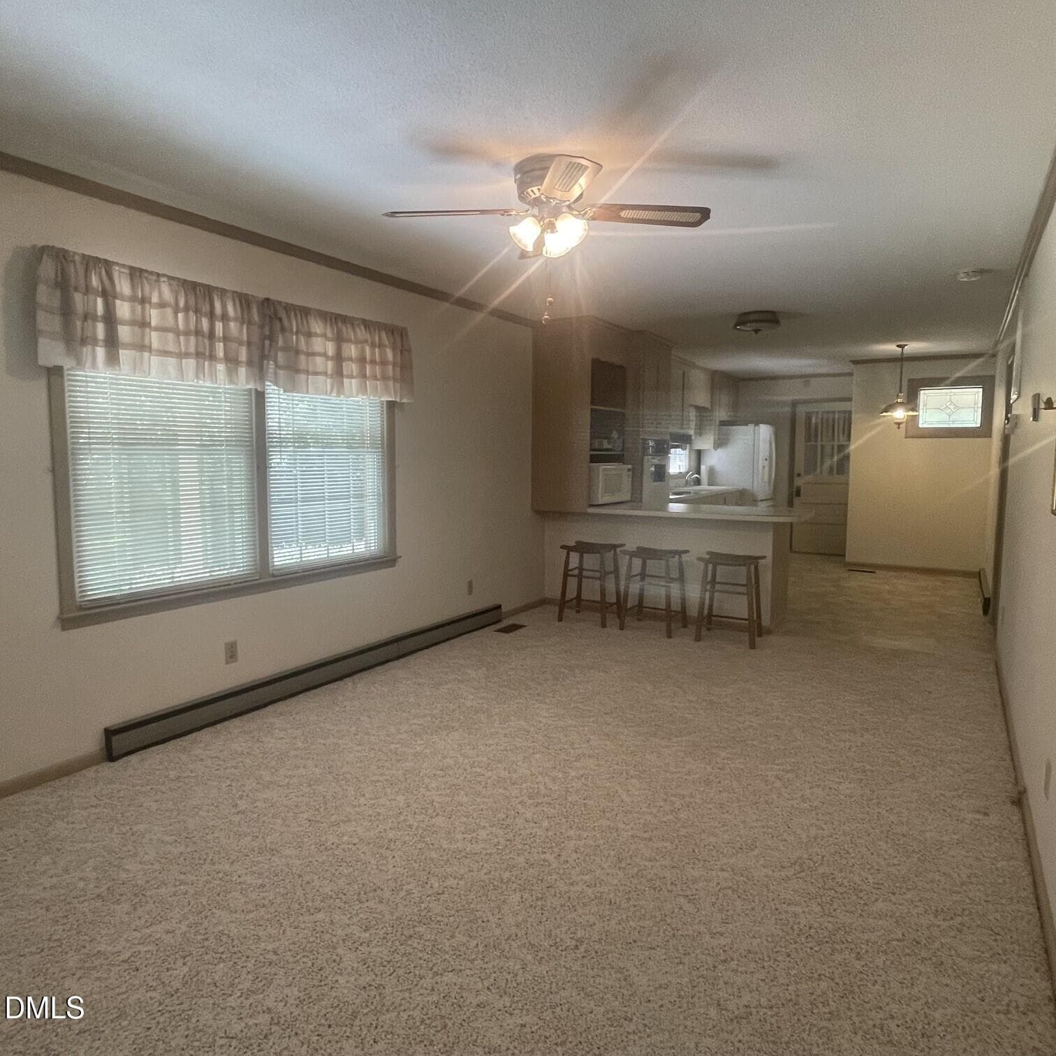 IMG_3110 - 456 S Raleigh Street, Angier, NC 27501