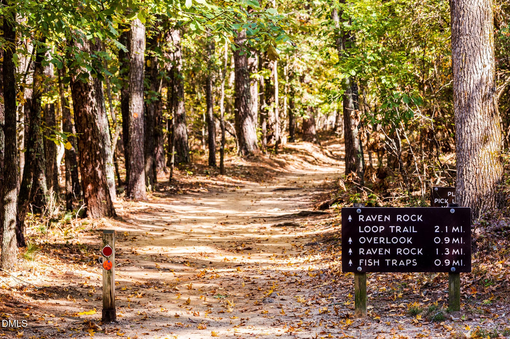 Raven Rock State Park (5) - 258 Blue Butterfly Drive, Angier, NC 27501, Angier