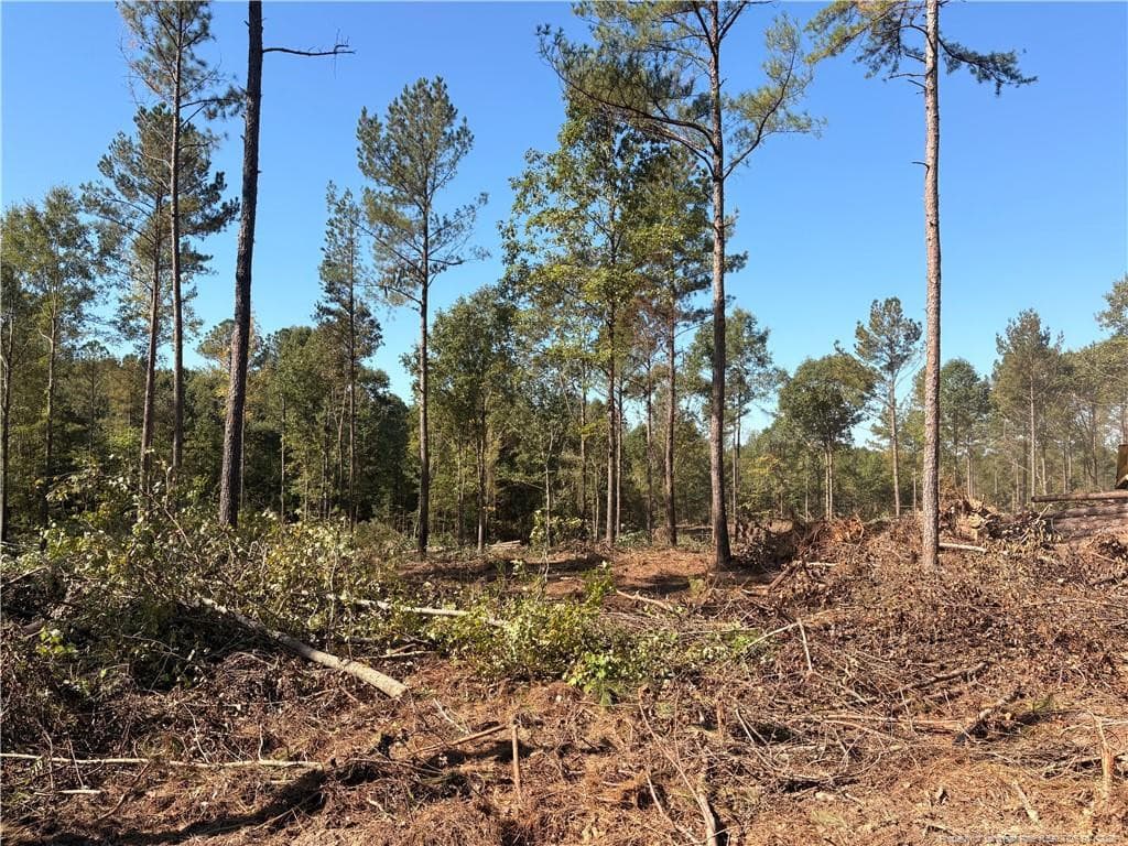 Photo 1 - Lot 1 S Plank Road, Sanford, NC 27330