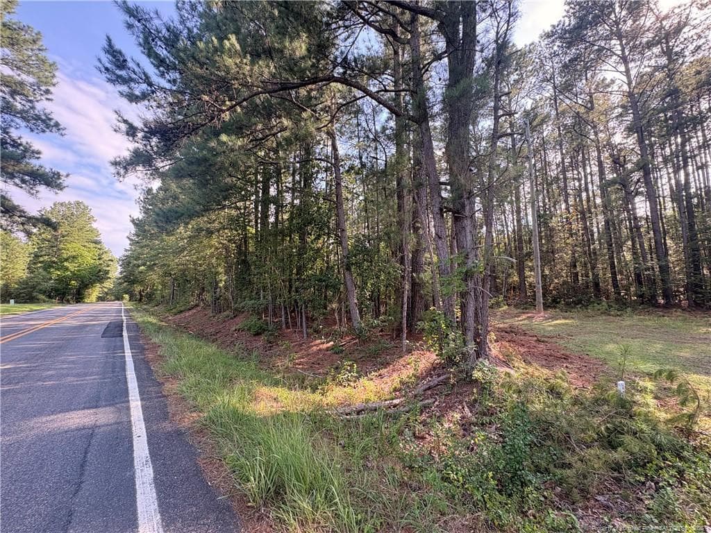 Road frontage - Lot 1 S Plank Road, Sanford, NC 27330