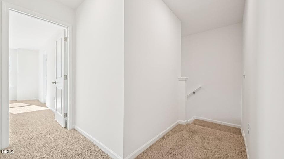 Hallway - 7427 Bourbon Briar Drive, Raleigh, NC 27604, Raleigh